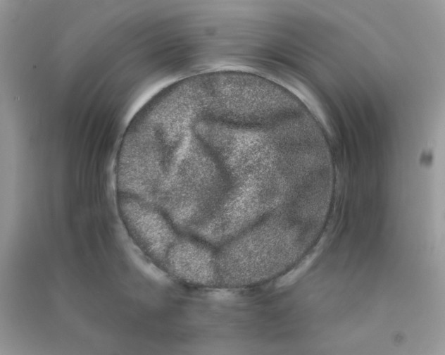 X0000090720814200708171925