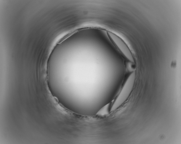 X0000090720815200708171925