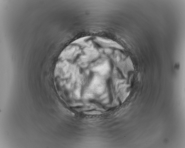 X0000090720817200708171924