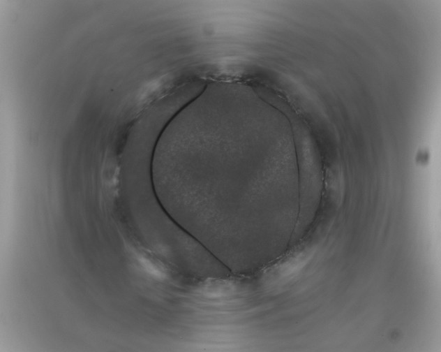 X0000090720818200708171924