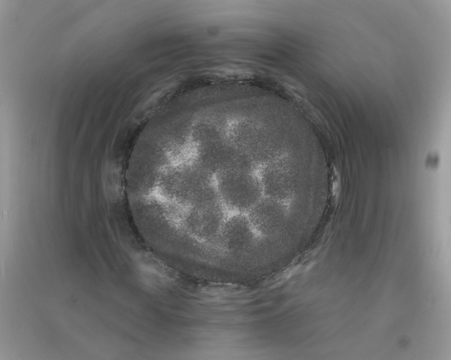 X0000090720819200708171924