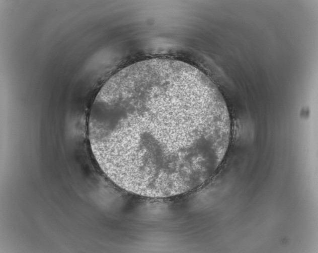 X0000090720820200708171924