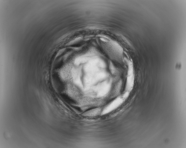 X0000090720821200708171924