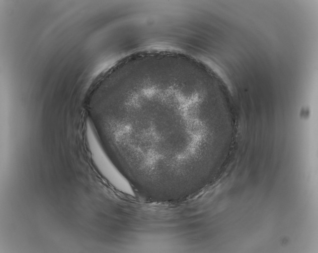 X0000090720823200708171924