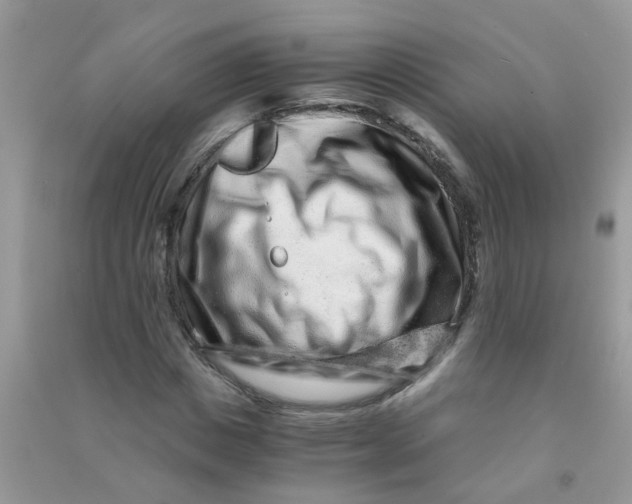 X0000090720825200708171925