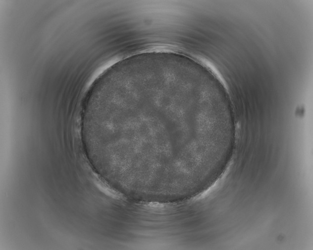 X0000090720827200708171925