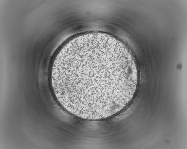 X0000090720828200708171925