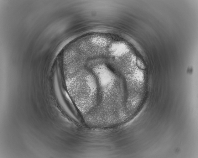 X0000090720829200708171925