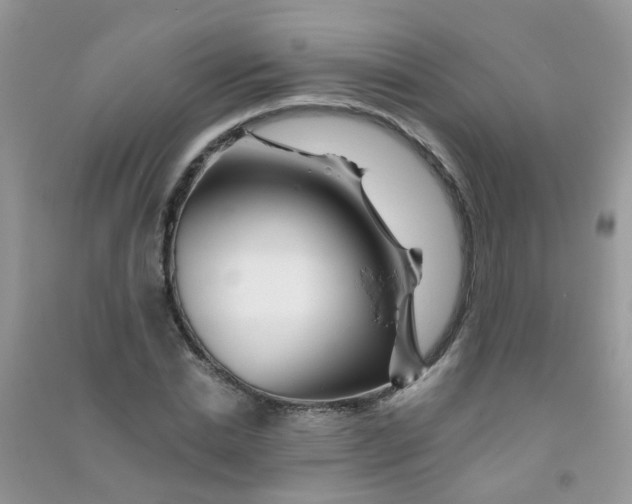 X0000090720830200708171925