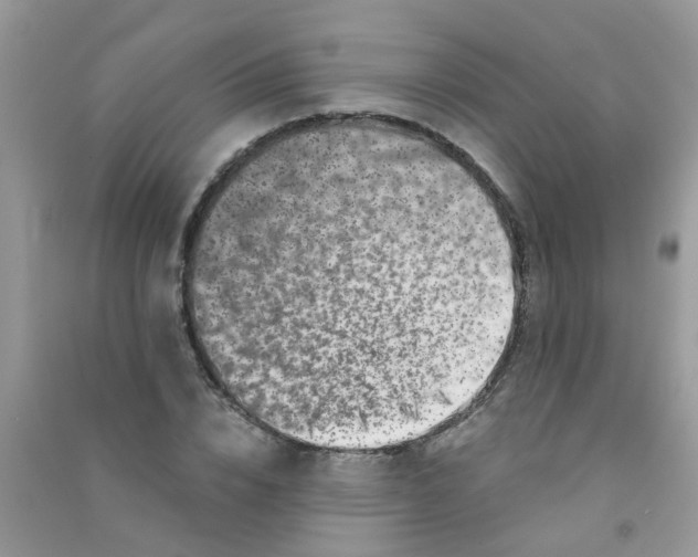 X0000090720832200708171925