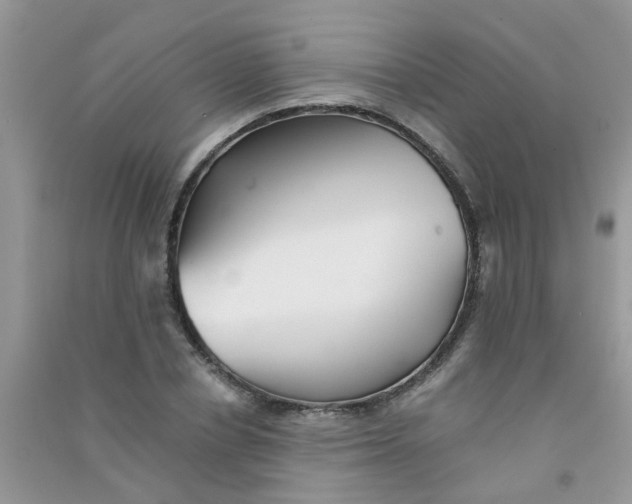 X0000090720834200708171925