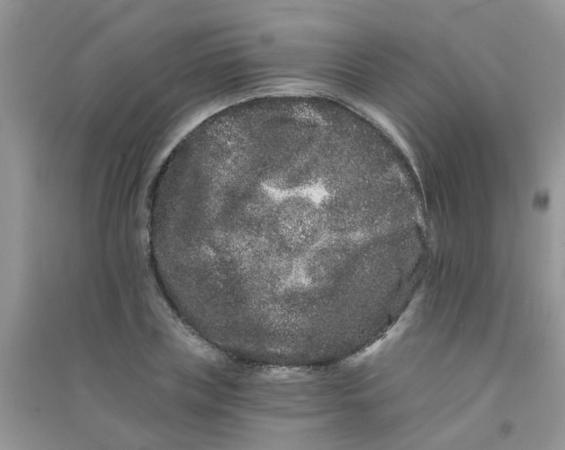 X0000090720835200708171925