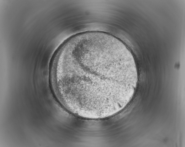 X0000090720836200708171925