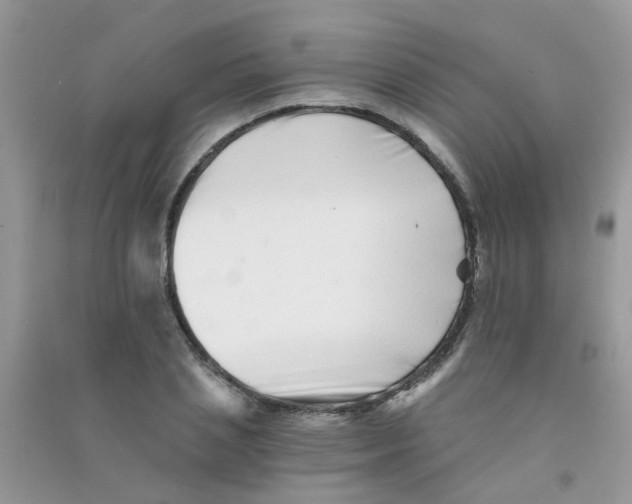 X0000090720837200708171925