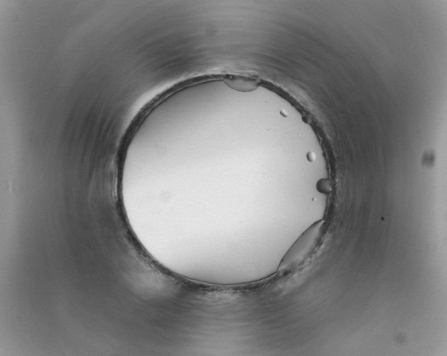 X0000090720838200708171925