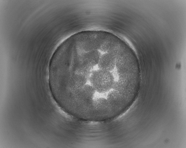 X0000090720839200708171925