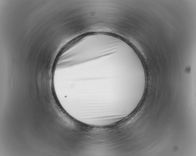 X0000090720840200708171925