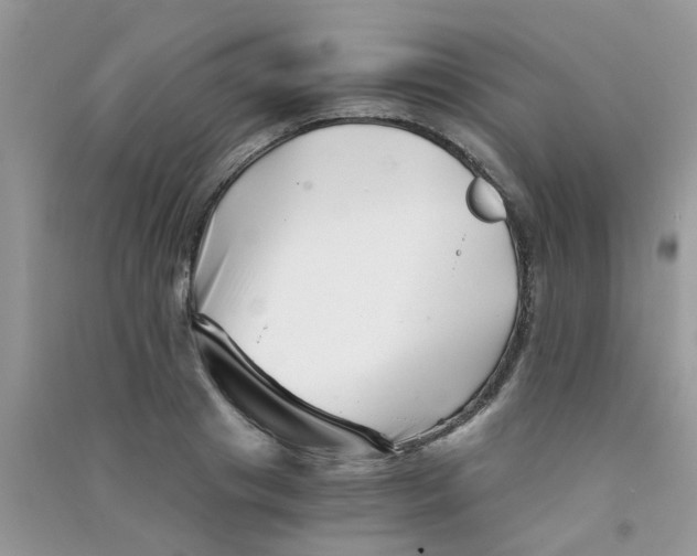 X0000090720841200708171925