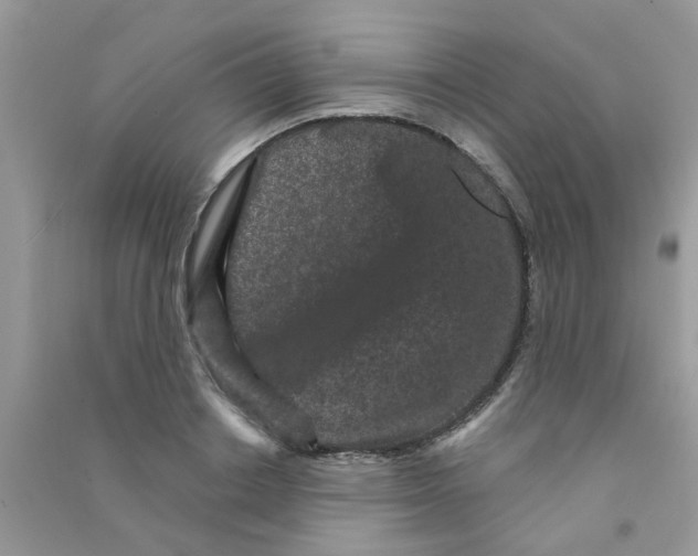 X0000090720842200708171925