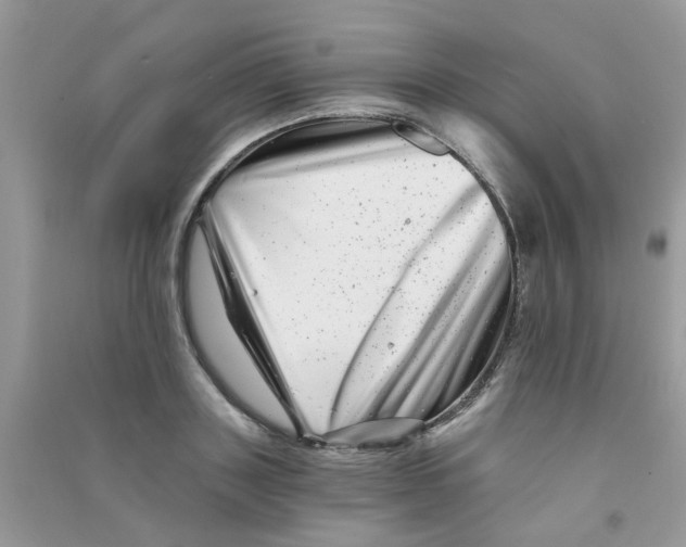 X0000090720843200708171925