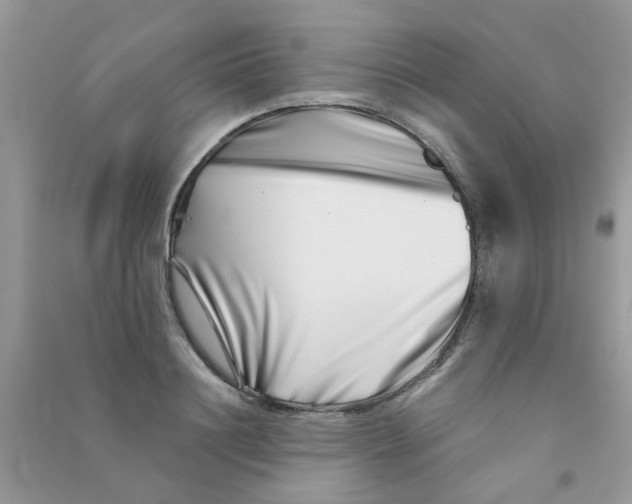 X0000090720844200708171925