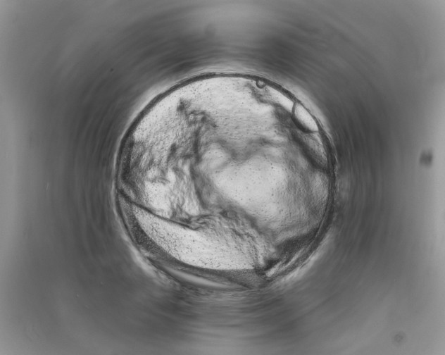 X0000090720845200708171925