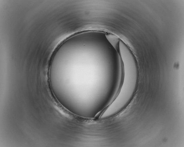 X0000090720846200708171925