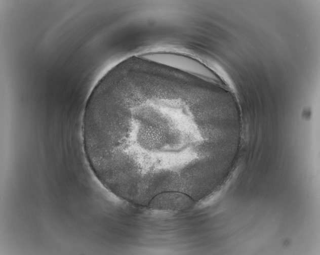 X0000090720847200708171925