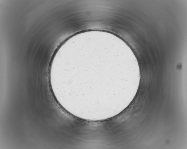 X0000090720848200708171925