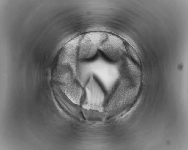 X0000090720849200708171925