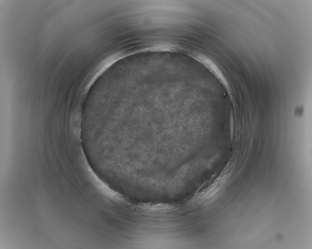 X0000090720851200708171925