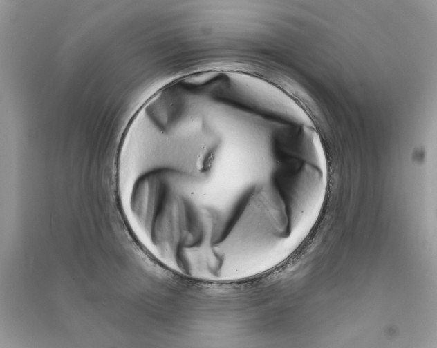 X0000090720852200708171925