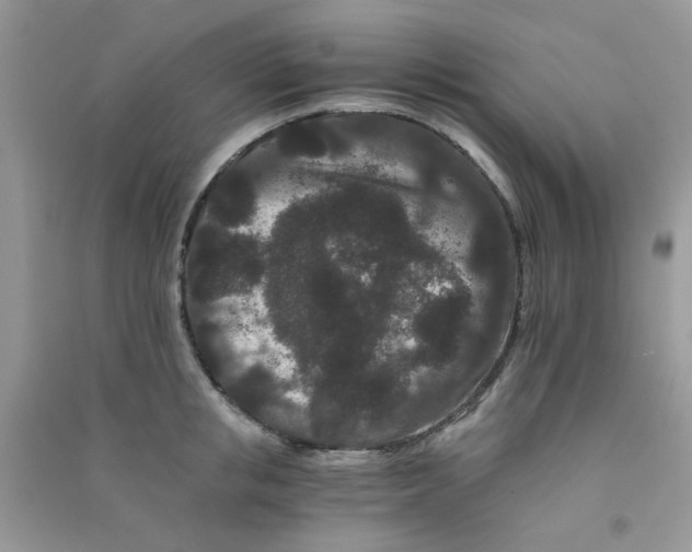 X0000090720853200708171925