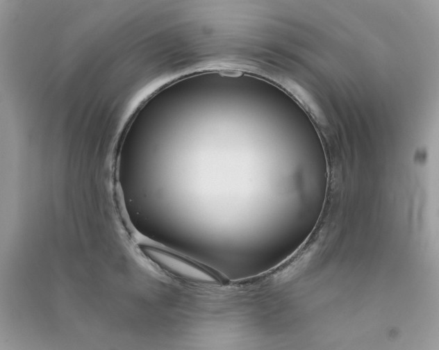 X0000090720854200708171925