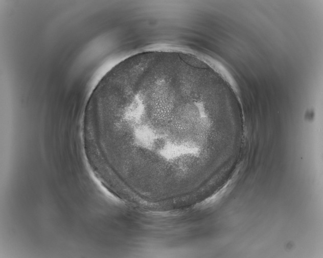 X0000090720855200708171925