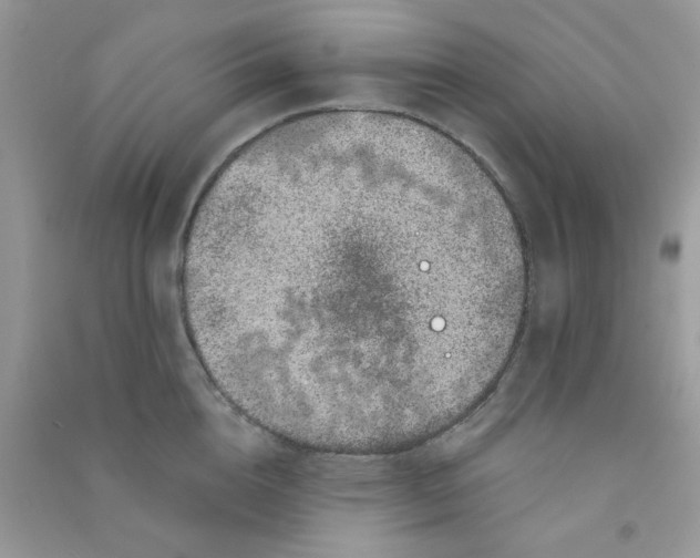 X0000090720856200708171925