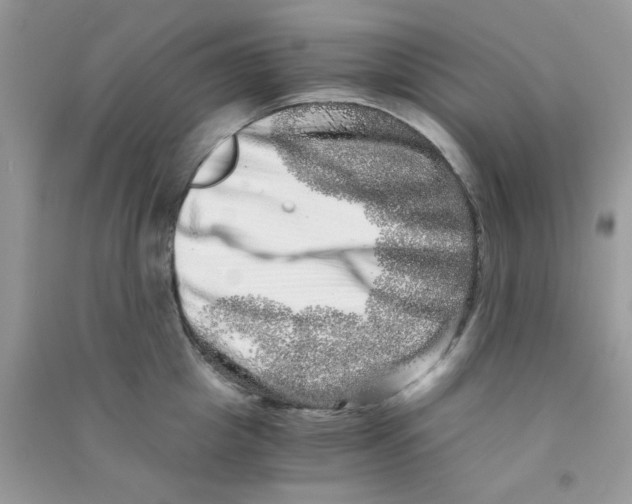 X0000090720857200708171925