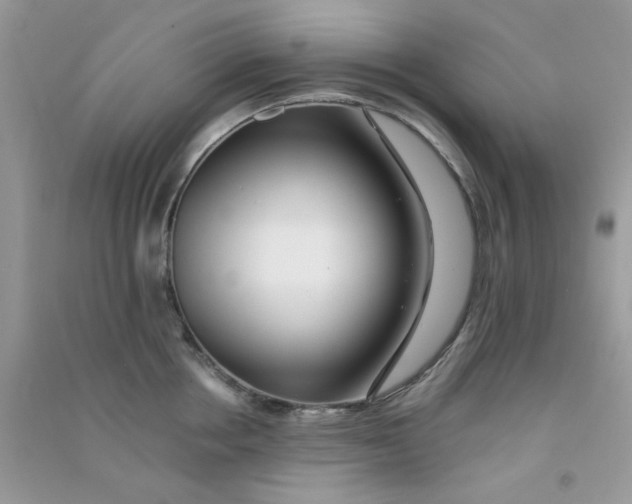 X0000090720858200708171925