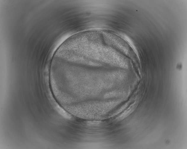 X0000090720859200708171925