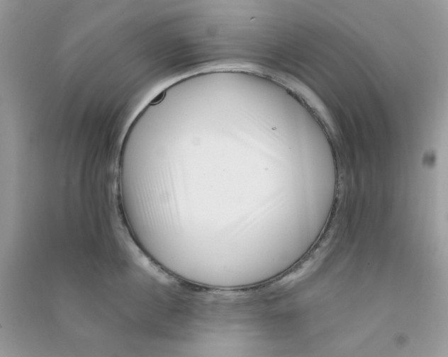 X0000090720860200708171925