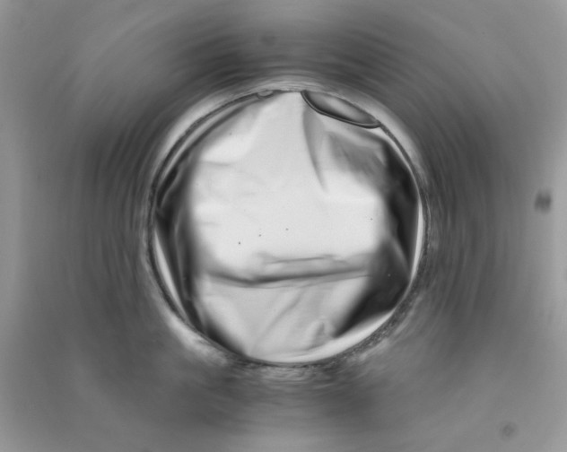 X0000090720861200708171925