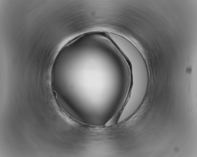 X0000090720862200708171925