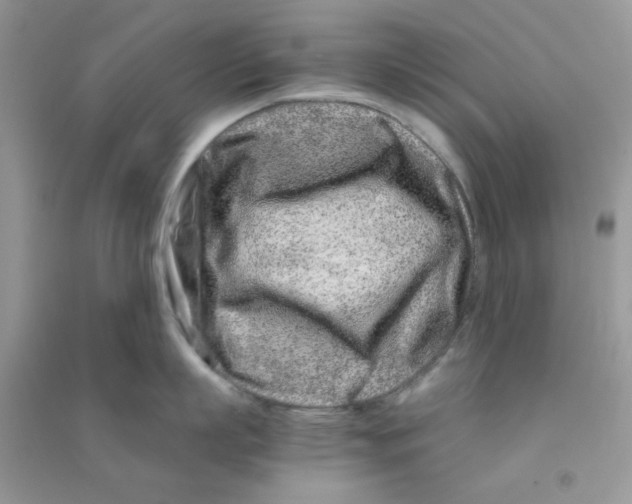 X0000090720863200708171925