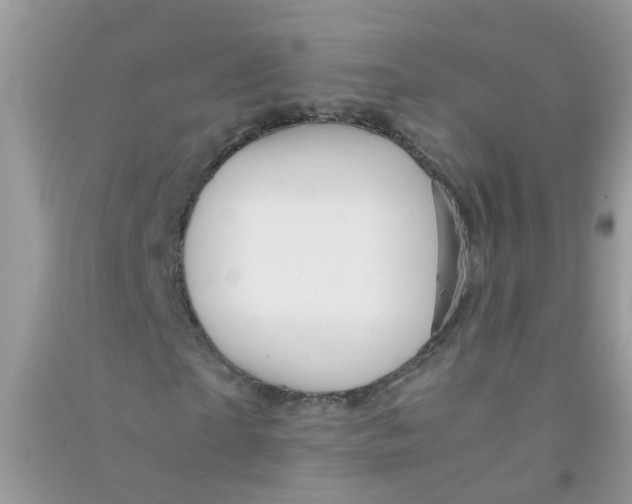 X0000090720865200708171924