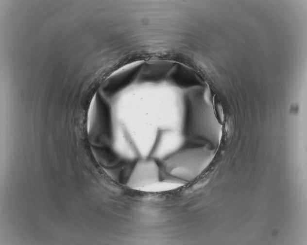 X0000090720867200708171924