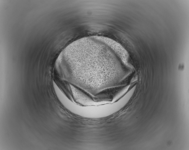 X0000090720868200708171924