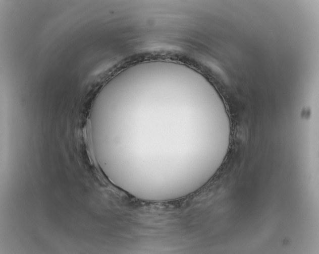 X0000090720869200708171924