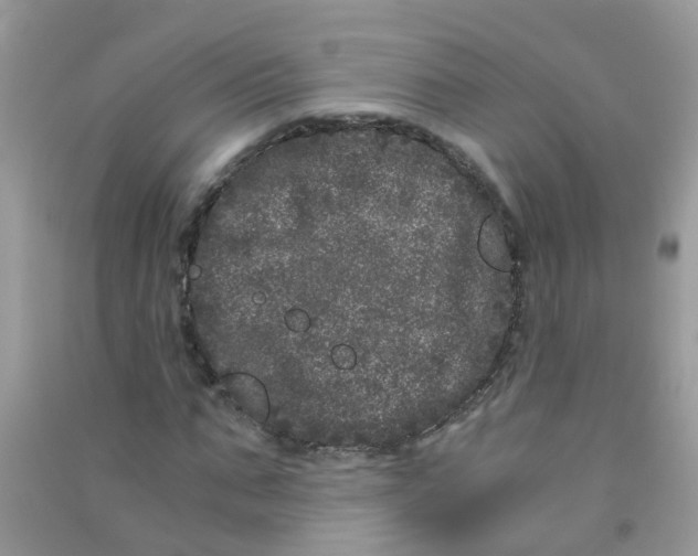 X0000090720871200708171924