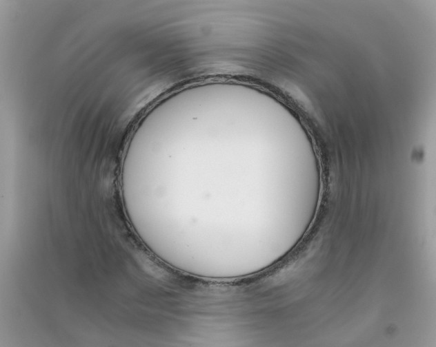 X0000090720873200708171924