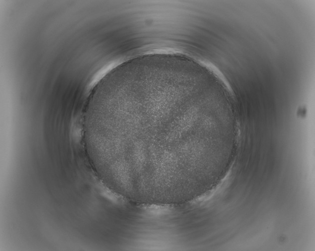 X0000090720874200708171924